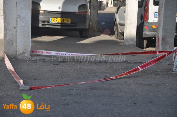 ta3n ludj31 (12).JPG